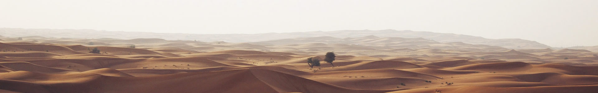 ɽؿƹó޹˾